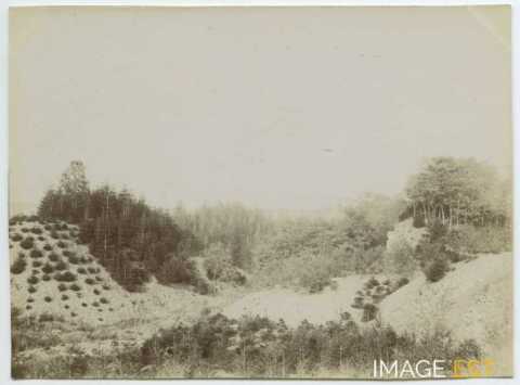 Carrières Saint-Jacques (Maxéville)