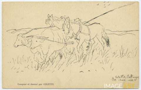 Attelage d'animaux