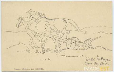 Chevaux aux labours