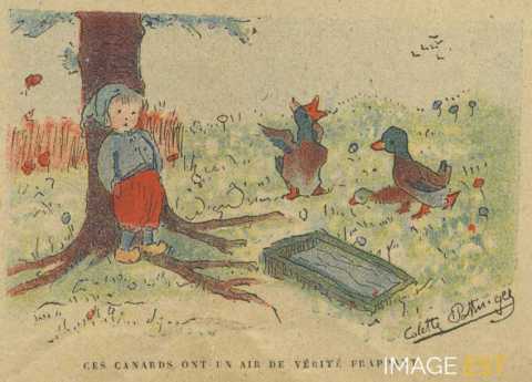 Ces canards ont un air de vérité frappant