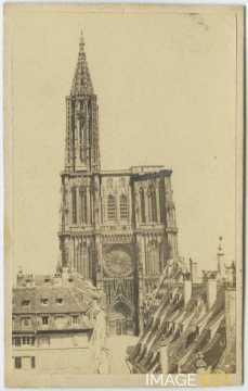 Cathédrale Notre-Dame (Strasbourg)