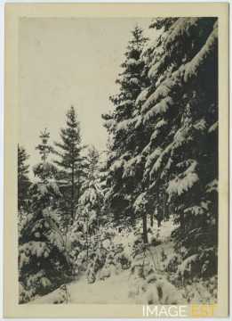 Paysage hivernal