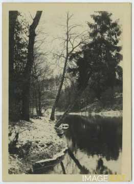 Paysage hivernal