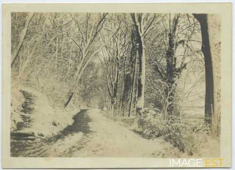 Paysage hivernal
