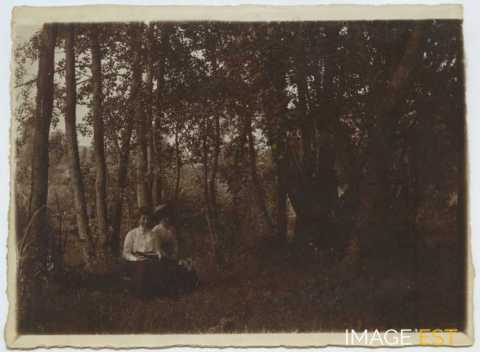 Femmes en forêt