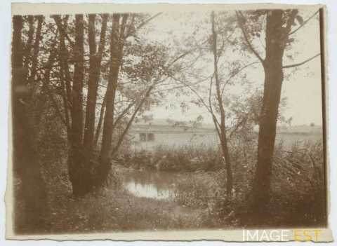 Paysage de campagne