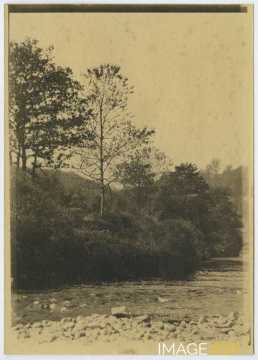 Paysage d'un cours d'eau