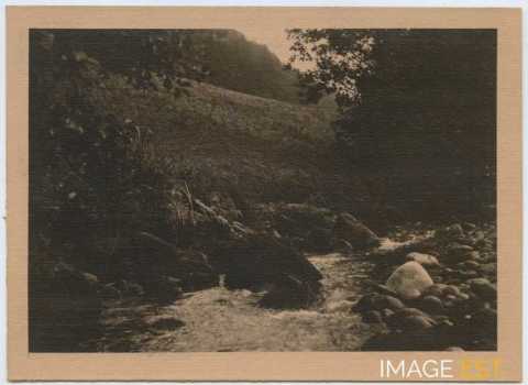 Paysage d'un cours d'eau