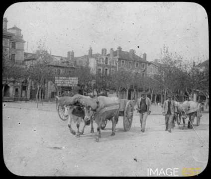 Attelages (Bayonne)