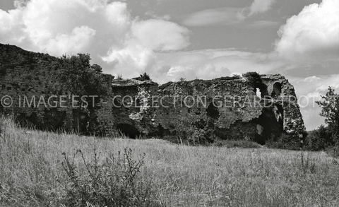 Vestiges du château (Prény)