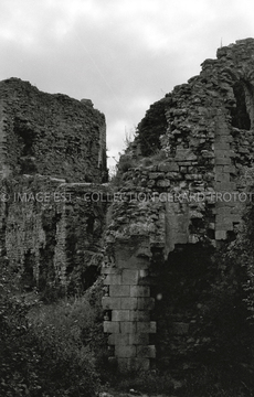 Vestiges du château (Prény)