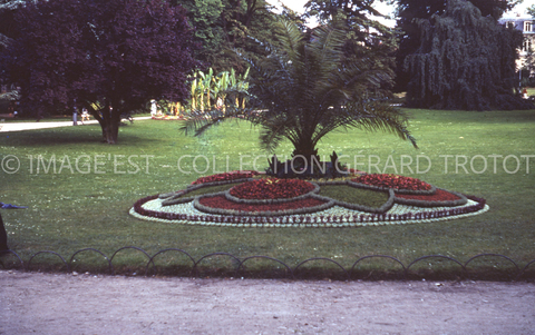 Parc de la Pépinière (Nancy)