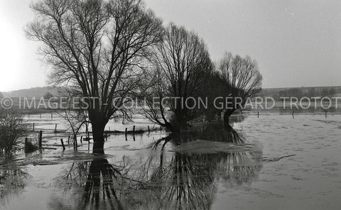 Crue de la Moselle (Metz ?)