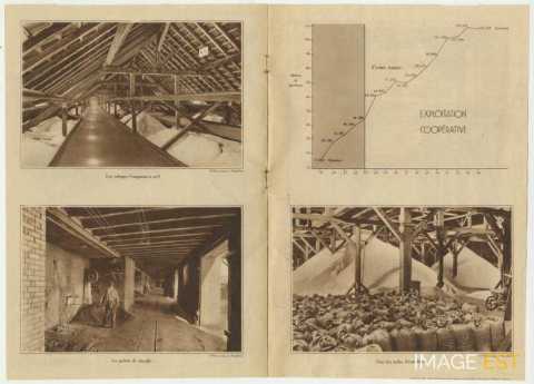Coop (n°8, juin 1935)