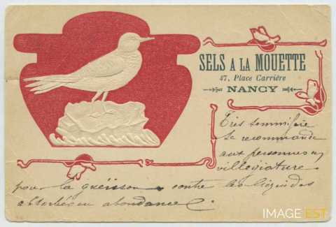 Sels à la Mouette (Nancy)