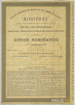 Société anonyme des mines de sel gemme et salines de Rosières
