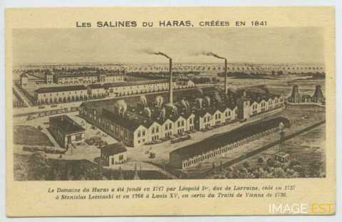 Salines du Haras (Sarralbe)