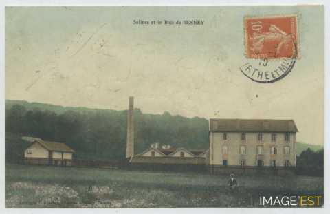 Saline (Tonnoy)