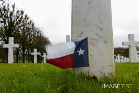 Cérémonie du 11 novembre au cimetière américain Saint-Mihiel (Thiaucourt-Regniéville)