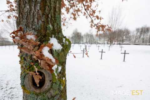 Cimetière militaire allemand (Consenvoye)