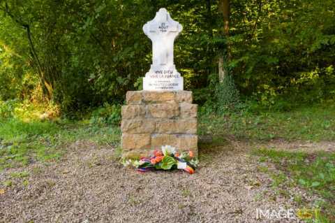 Commémoration franco-belge de la bataille du 22 août 1914 (Ethe)