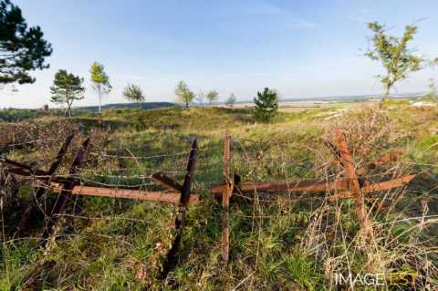 La Main de Massiges (Marne)