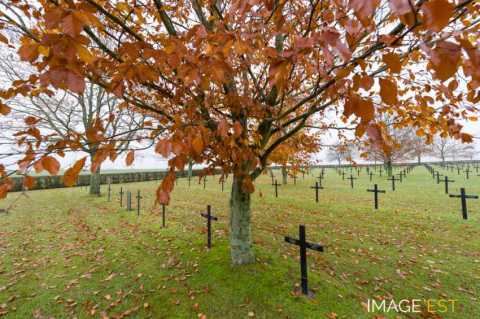 Réinhumation de soldats allemands (Cheppy)
