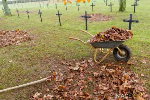 Réinhumation de soldats allemands (Cheppy)