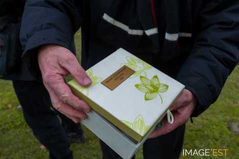 Réinhumation de soldats allemands (Cheppy)