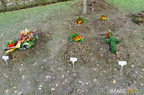 Réinhumation de soldats allemands (Cheppy)