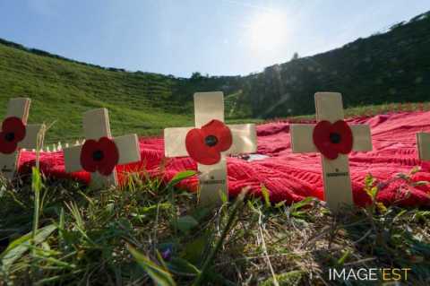 Lochnagar Crater (Ovillers-la-Boisselle)