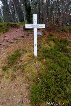 Site de la bataille du col du Linge (Orbey)