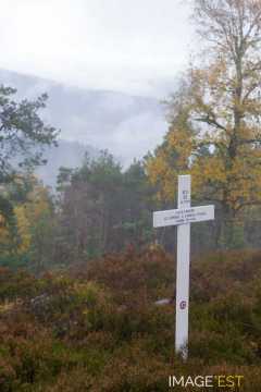 Site de la bataille du col du Linge (Orbey)