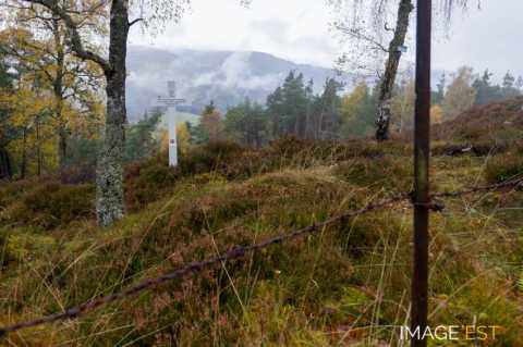 Site de la bataille du col du Linge (Orbey)