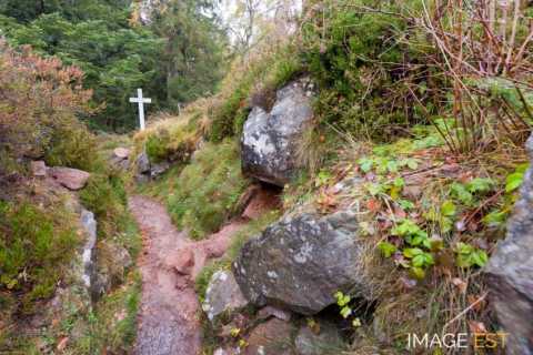 Site de la bataille du col du Linge (Orbey)