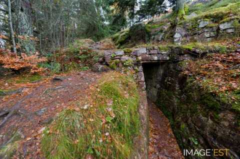 Site de la bataille du col du Linge (Orbey)