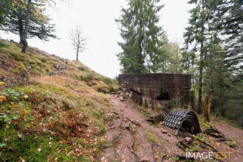 Site de la bataille du col du Linge (Orbey)
