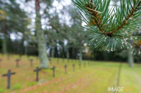 Cimetière militaire allemand (Hohrod)