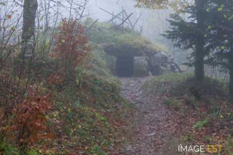 Champ de bataille du Hartmannswillerkopf  (Wattwiller)