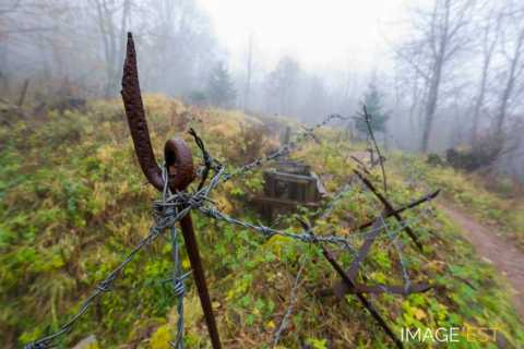 Champ de bataille du Hartmannswillerkopf  (Wattwiller)