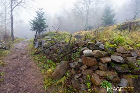 Champ de bataille du Hartmannswillerkopf  (Wattwiller)