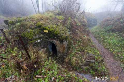 Champ de bataille du Hartmannswillerkopf  (Wattwiller)