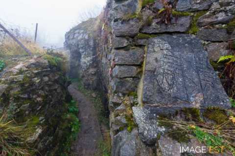 Champ de bataille du Hartmannswillerkopf  (Wattwiller)