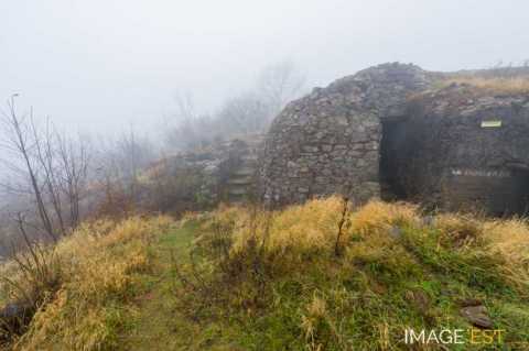 Champ de bataille du Hartmannswillerkopf  (Wattwiller)