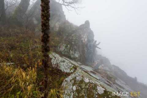 Monument du Hartmannswillerkopf (Wattwiller)