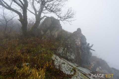 Monument du Hartmannswillerkopf (Wattwiller)
