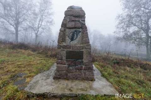 Champ de bataille du Hartmannswillerkopf  (Wattwiller)