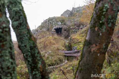 Champ de bataille du Hartmannswillerkopf (Wattwiller)