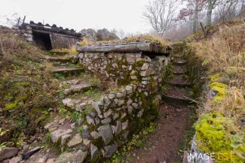 Champ de bataille du Hartmannswillerkopf (Wattwiller)