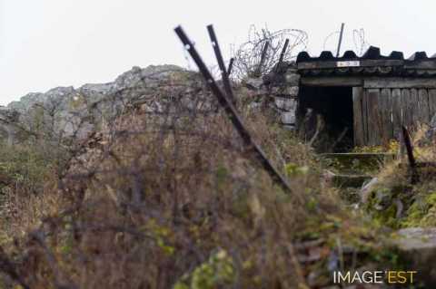 Champ de bataille du Hartmannswillerkopf (Wattwiller)
